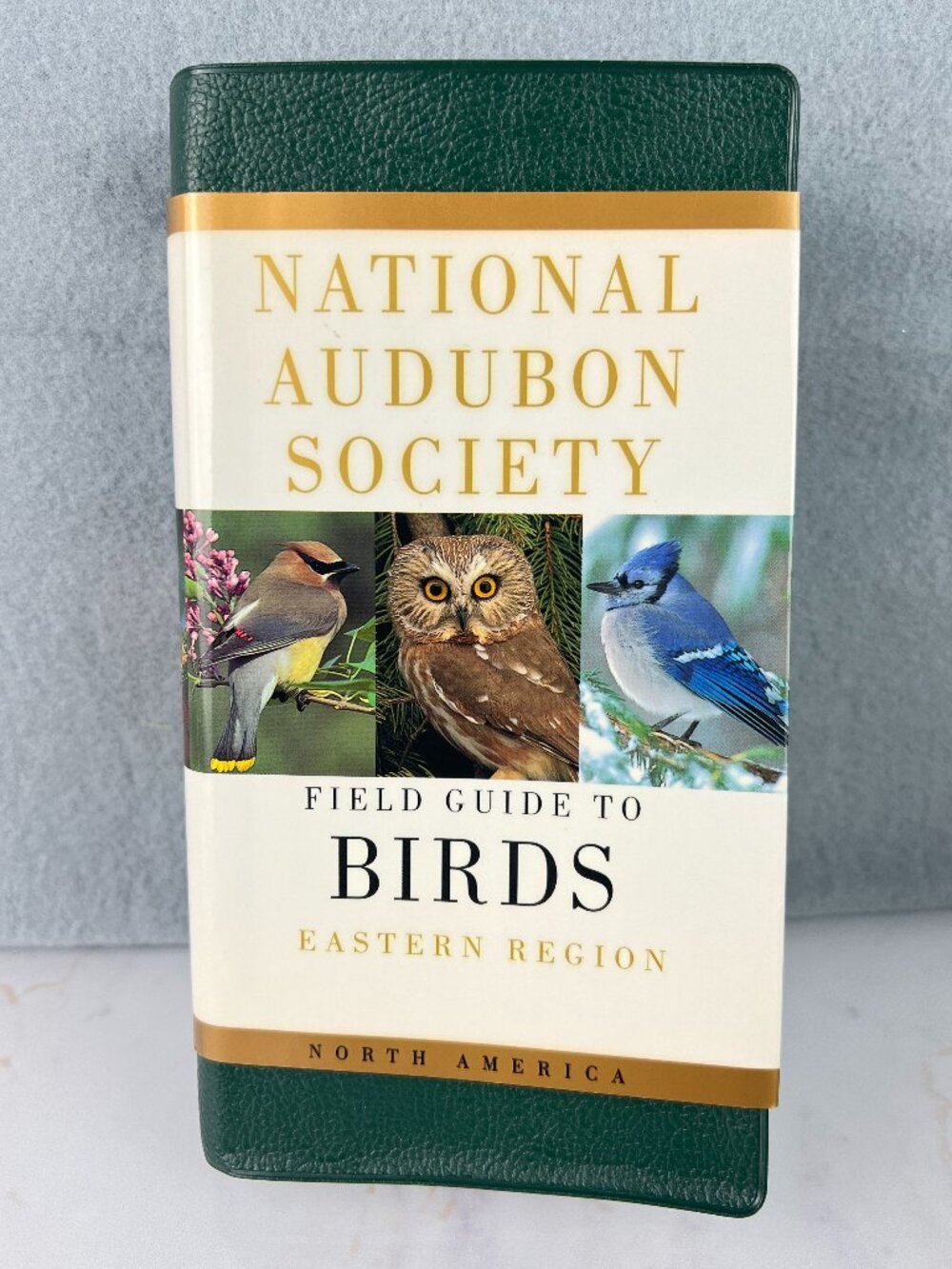 Softcover Educational Field Guide to Birds Eastern N America Region Picture Book
